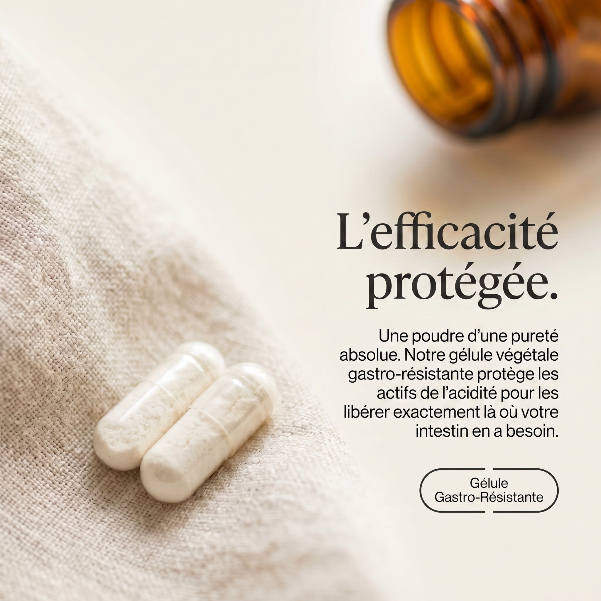 Complexe Probiotiques : Équilibre & Ventre Plat